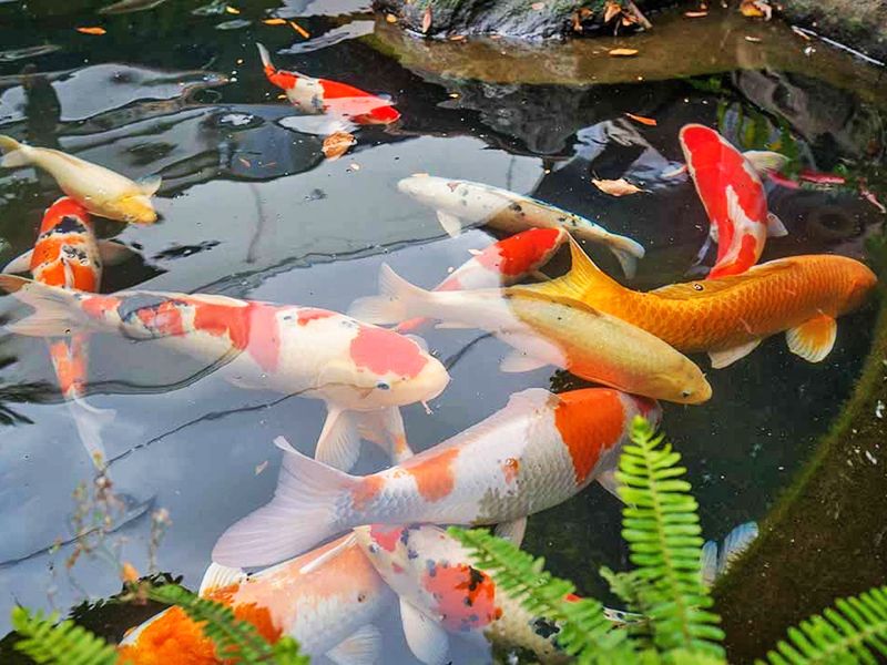 和歌山霊園 高野寺