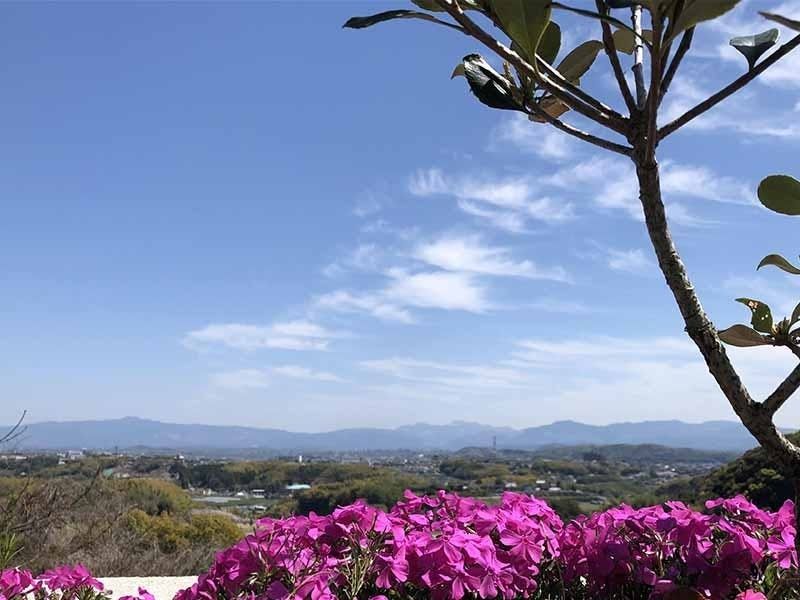 市内一望できる最高のロケーション
