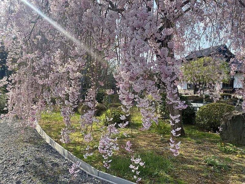 東長寺結の会納骨堂 龍樹堂