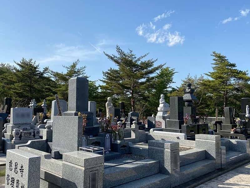 緑豊かな明るい園内