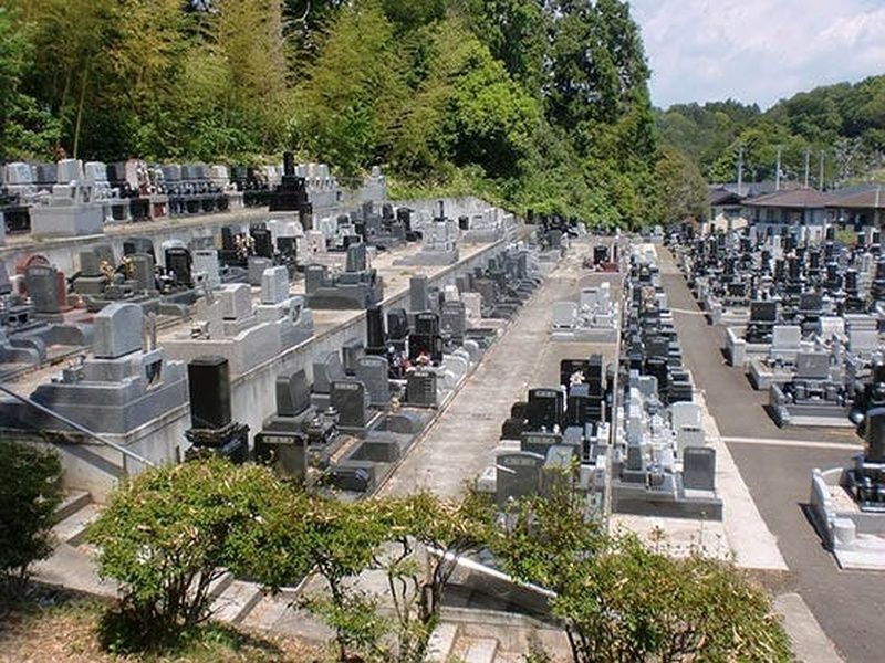 墓域周辺は緑豊かな好環境