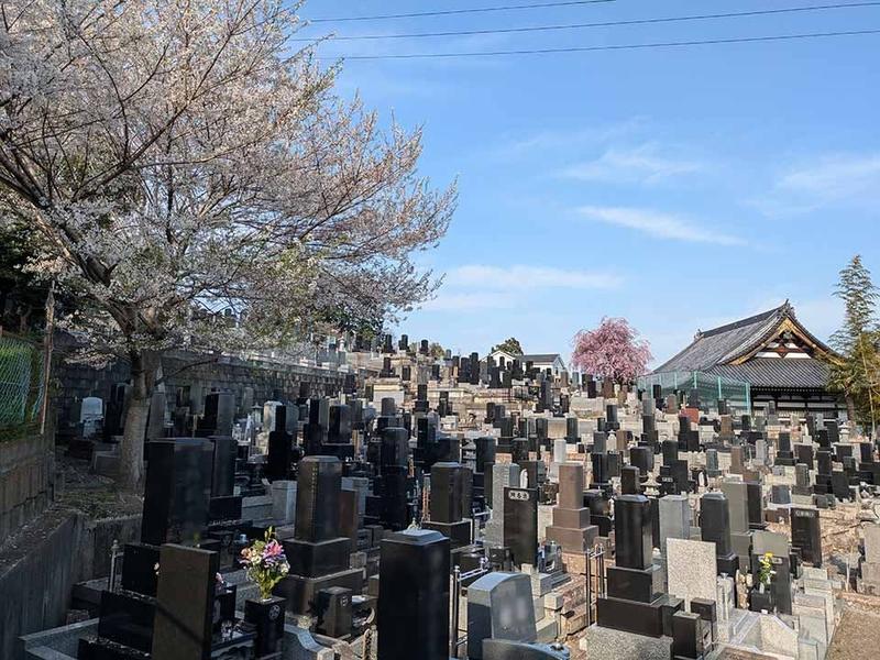 「墓守あんしんプラン」東仙台 大蓮寺