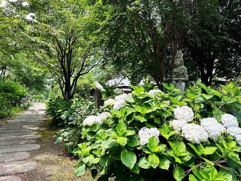 前橋そらにわ墓苑(樹木葬)