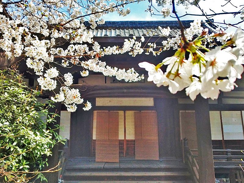 浄土宗 知恩院末・稱名寺が永代にわたって供養いたします