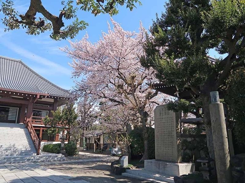 春の境内風景