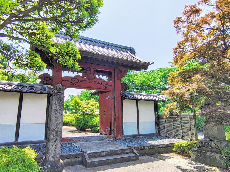 川越 蓮光寺 永代樹木葬