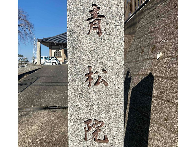 樹木葬「相模原アルベリ」