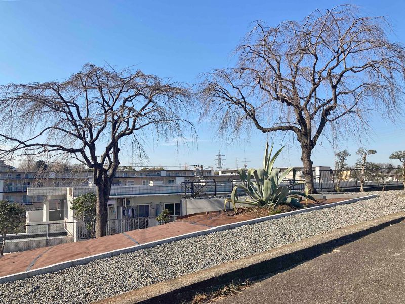 樹木葬「相模原アルベリ」