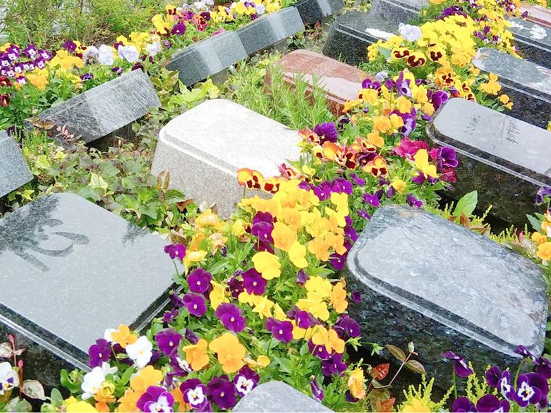 ガーデニング樹木葬