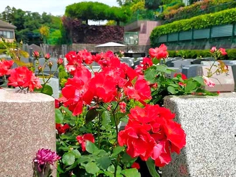 横浜セントヒル霊園 一般墓