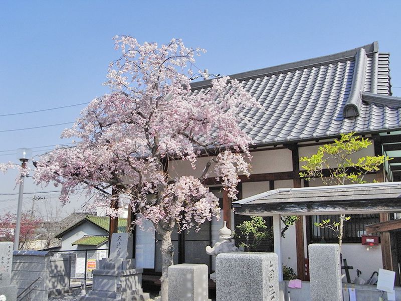 管理棟
