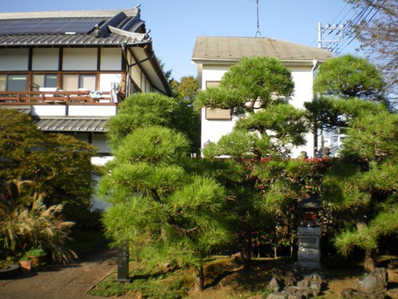 智光院