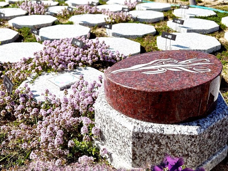 圓光寺浄土苑（円光寺浄土苑）