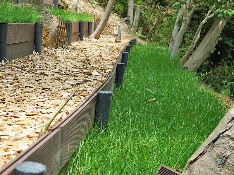 北白川 圓光寺 もみじの山樹木葬