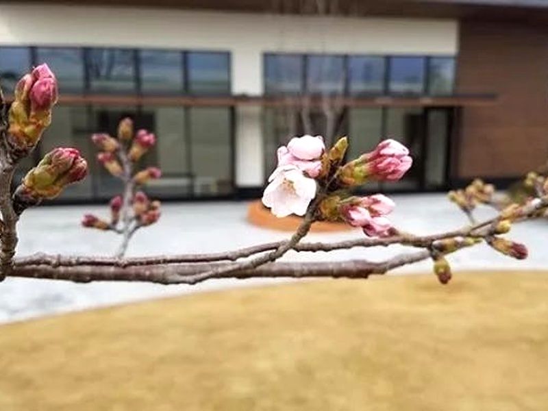 まごころガーデン ー豊橋ー