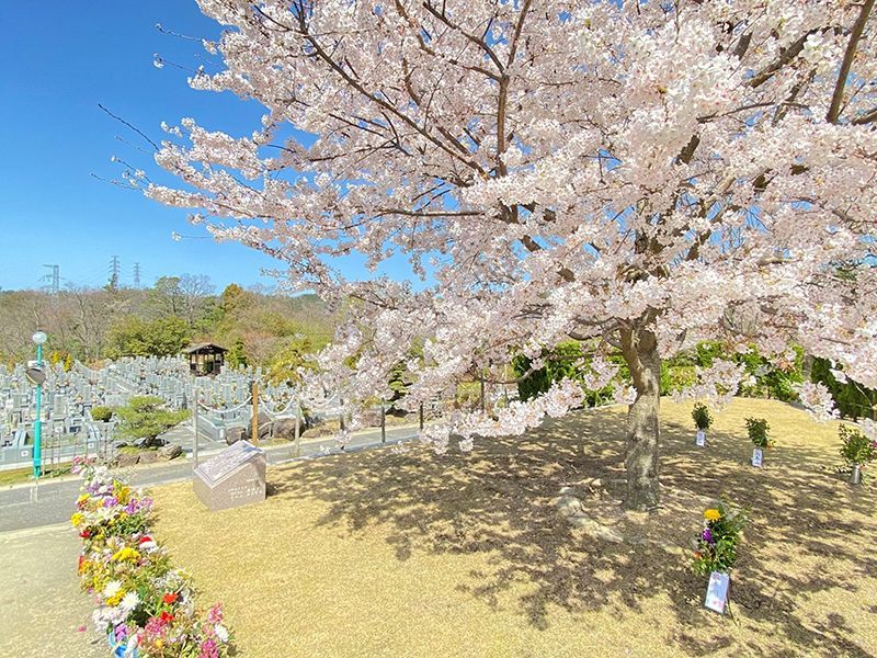 区画写真