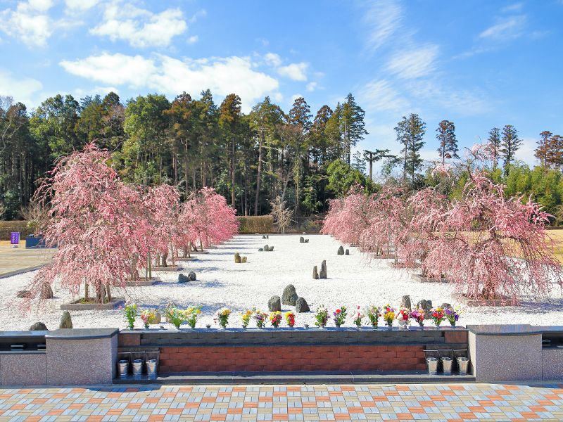 区画写真