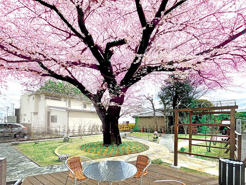 樹木葬 田無さくら庭園(西東京市)の費用・交通アクセス・お墓の詳細
