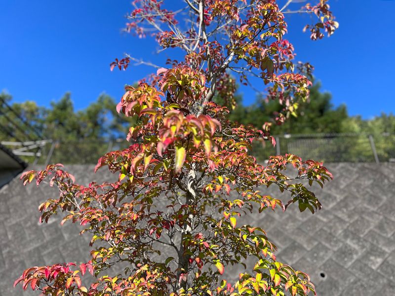 やすらぎの丘霊苑