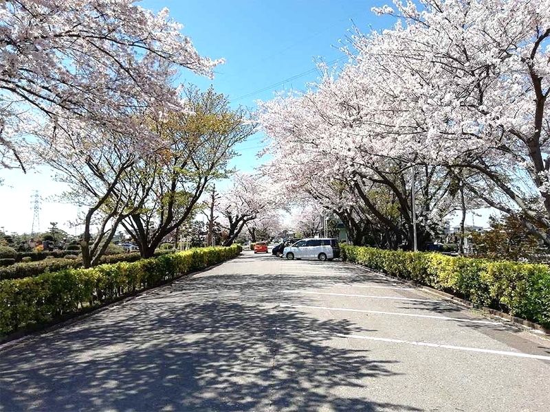 船橋市営 馬込霊園