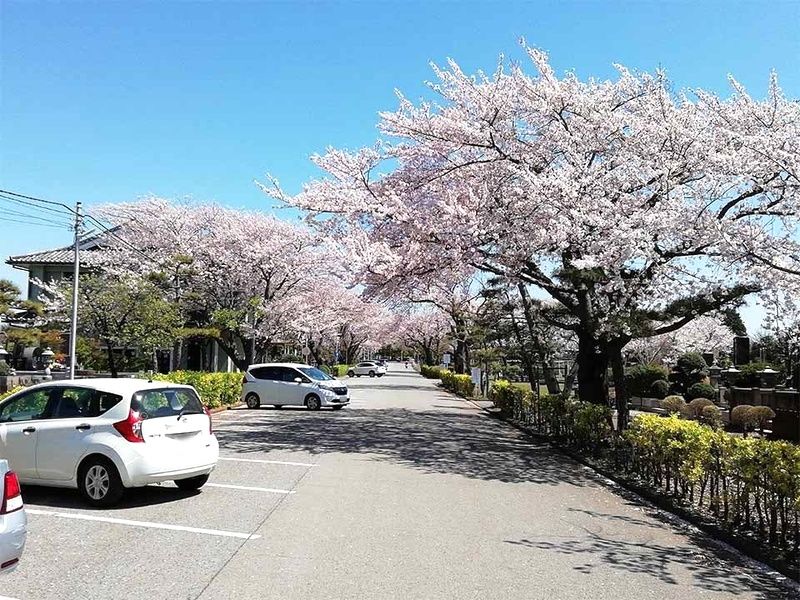 船橋市営 馬込霊園