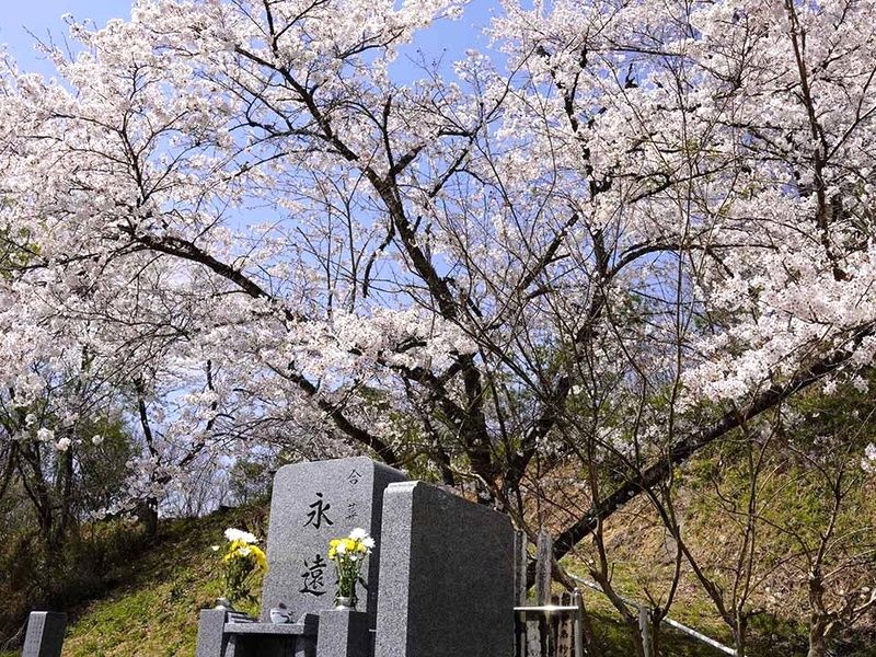 ブルームヒルやまがた