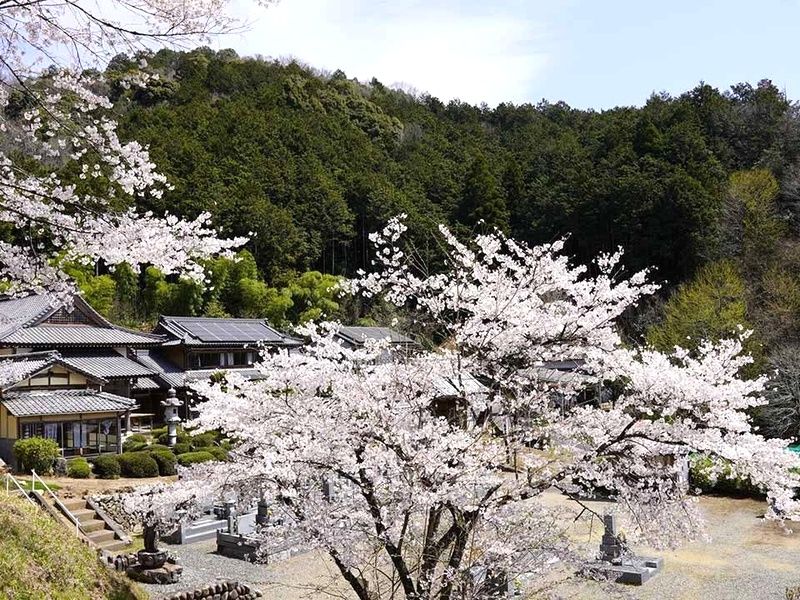 ブルームヒルやまがた