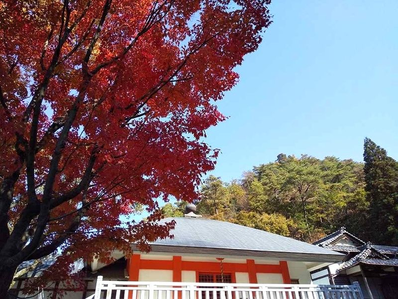 ブルームヒルかかみがはら〜里山の風〜