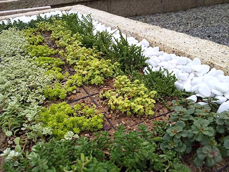 ブルームヒルかかみがはら〜里山の風〜