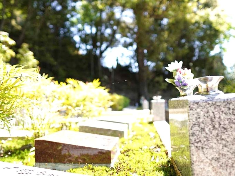 ブルームヒルせき