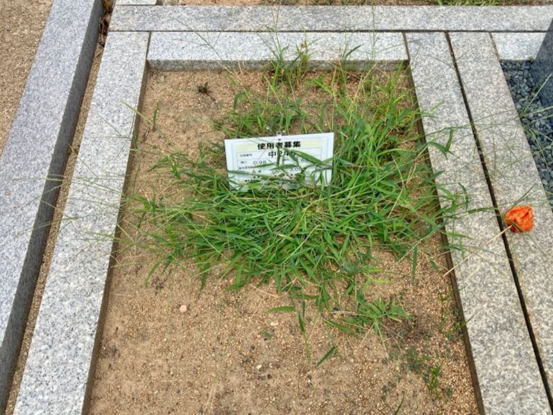 岩田墓地