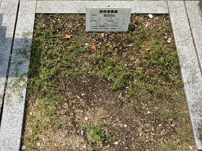 岩田墓地