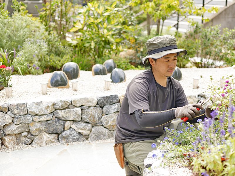 つむぎの森・幸國寺樹木葬