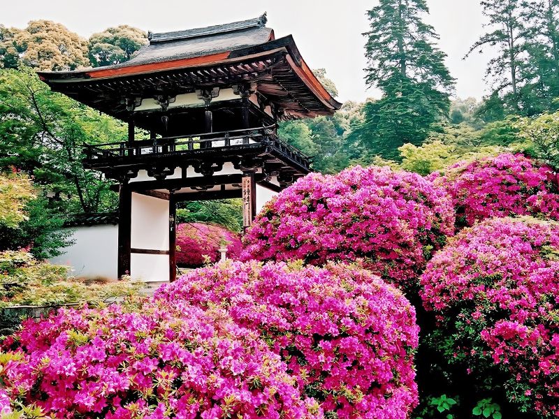 長岳寺 のうこつぼ