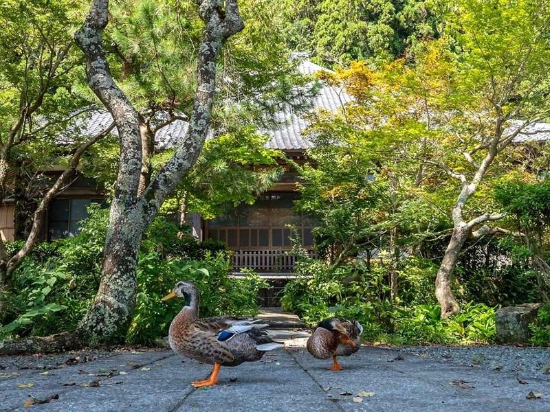 納骨堂みもる