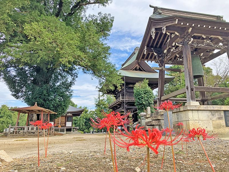 壬生樹木葬墓地