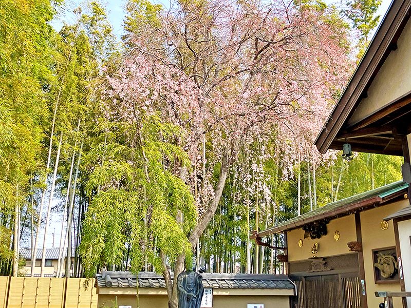 野田樹木葬墓地