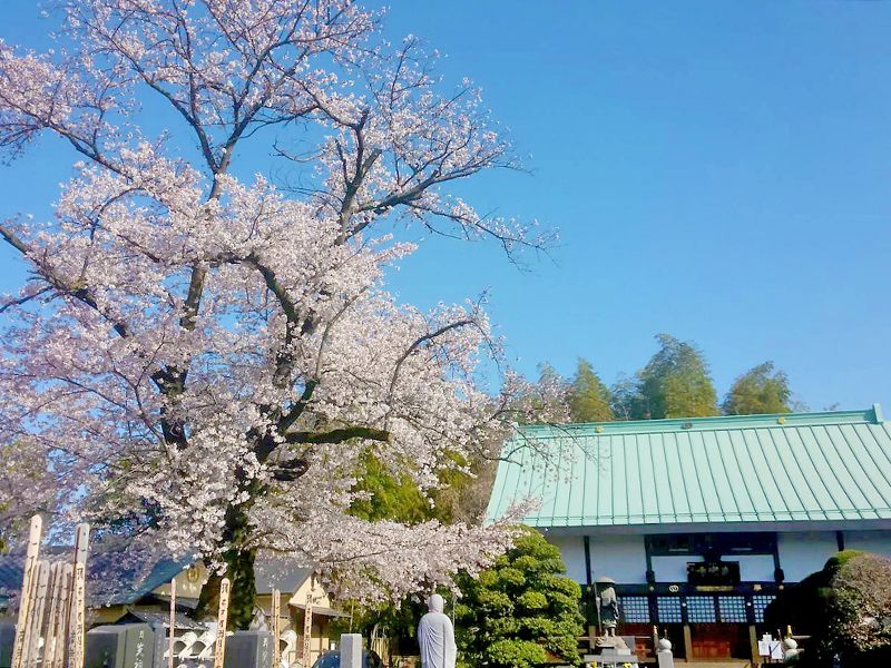 野田樹木葬墓地