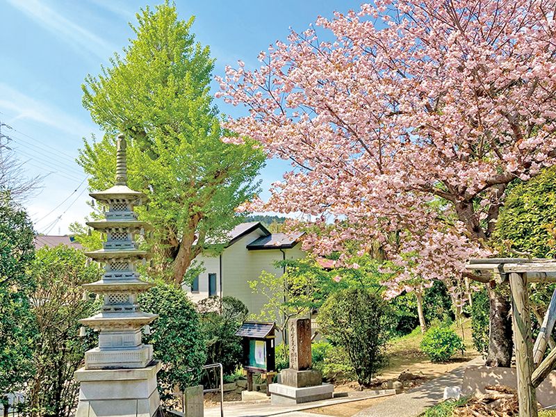 横須賀衣笠樹木葬墓地