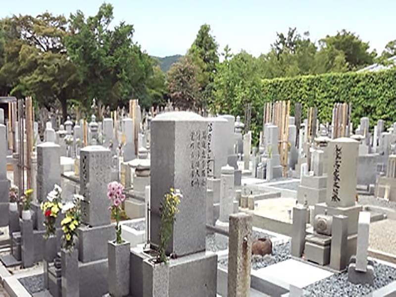 大本山大徳寺塔頭 黄梅院