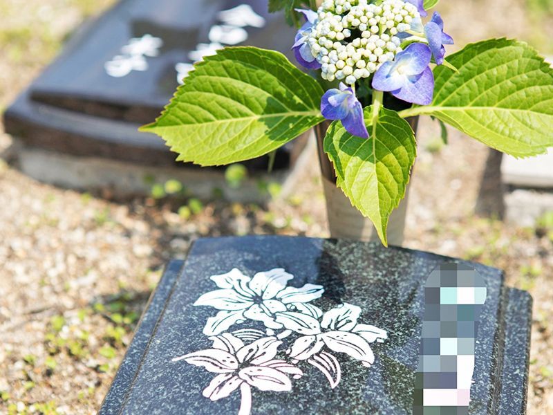 胡蝶庭園樹木葬 建宗寺