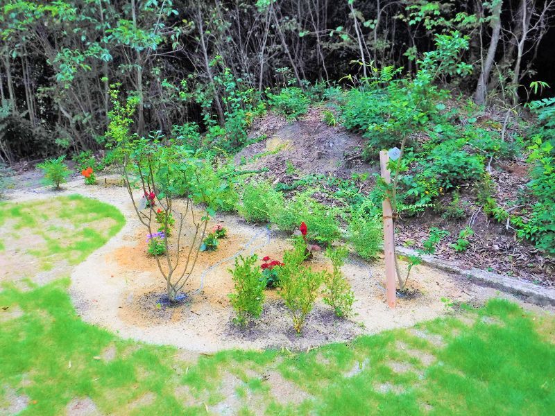 祥雲寺 永代樹木葬