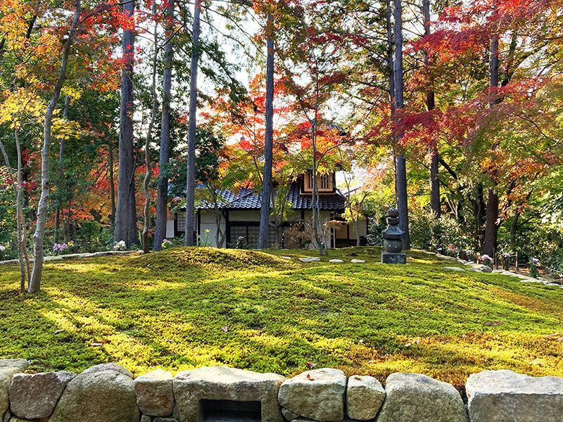 東福寺 正覚庵 樹木葬 法洲苑