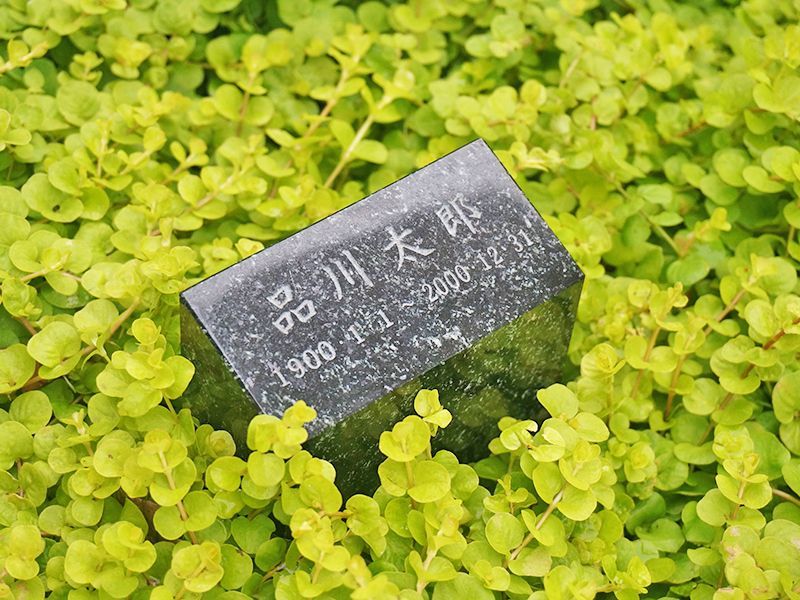 證誠院 塔頭 常信寺 松戸庭苑