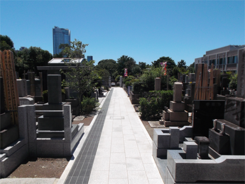 青山墓苑の白い参道