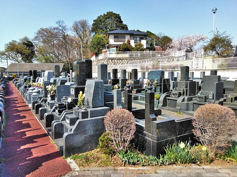 想いでの丘「永遠の絆」