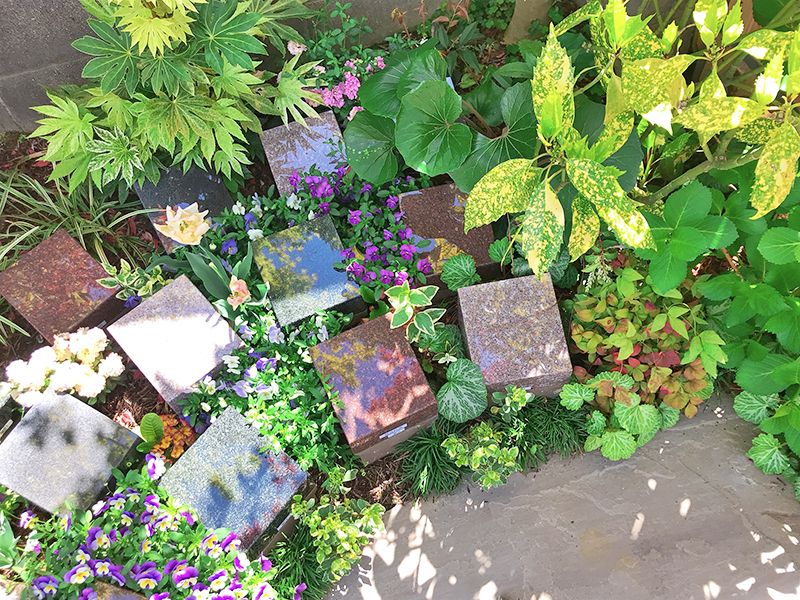 本昌寺 上京庭苑みのり