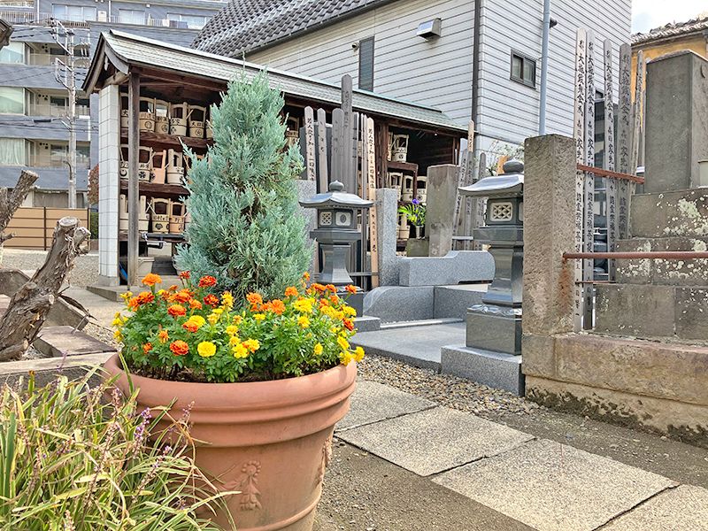 外苑こもれびの杜