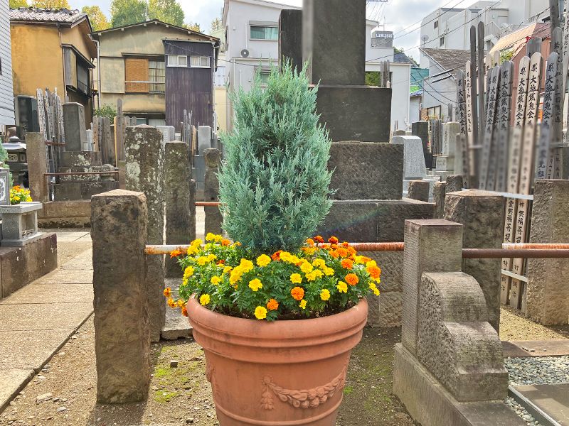 外苑こもれびの杜