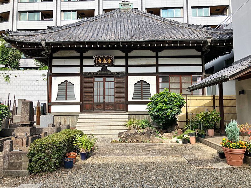 外苑こもれびの杜